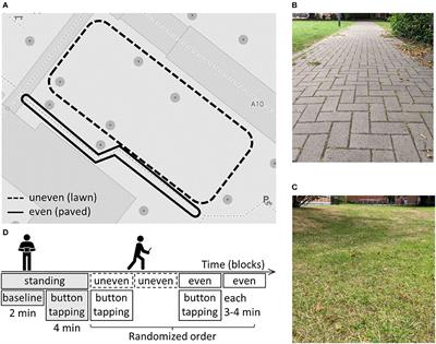 Mobile electroencephalography captures differences of walking over even and uneven terrain but not of single and dual-task gait